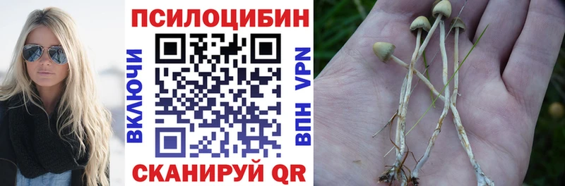 ОМГ ОМГ где купить наркотик Соликамск Галлюциногенные грибы мухоморы