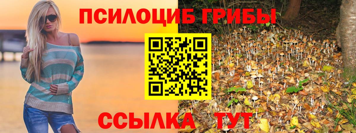 Галлюциногенные грибы прущие грибы  Вход с VPN  Соликамск 